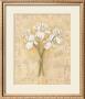 White Bearded Irises by Debra Lake Limited Edition Print