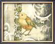 Bird Song Ii by Jennifer Goldberger Limited Edition Pricing Art Print
