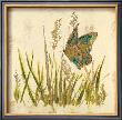 Butterfly Meadow by Bella Dos Santos Limited Edition Pricing Art Print