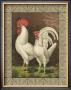 Roosters Vi by Cassell's Poultry Book Limited Edition Print