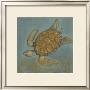 Sea Turtle Ii by Norman Wyatt Jr. Limited Edition Pricing Art Print