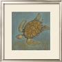 Sea Turtle Ii by Norman Wyatt Jr. Limited Edition Print