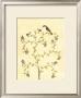 Berry Bird Ii by Virginia A. Roper Limited Edition Pricing Art Print