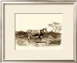 Bovine I by Emile Van Marck Limited Edition Print