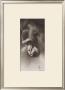 Silver Back, The Gorilla by Robert L. Caldwell Limited Edition Pricing Art Print