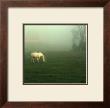 White Horses Field Ii by Rick Schimidt Limited Edition Print