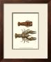 Antique Lobster Iii by James Sowerby Limited Edition Pricing Art Print