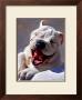 Bull Dog Joyride by Robert Mcclintock Limited Edition Pricing Art Print