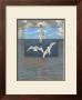 Three White Gulls Ii by Tara Friel Limited Edition Print