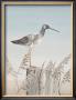 Bird's Eye Ocean View by Jurgen Gottschlag Limited Edition Pricing Art Print