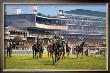 York Races by Graham Isom Limited Edition Print