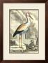 Antique Heron by J.E. Deseve Limited Edition Print