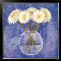 White Daisies In Vase by Julio Sierra Limited Edition Print
