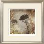 Algarve Silhouettes Ii by Tandi Venter Limited Edition Print