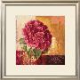 Charming Hydrangea by Gabor Barthez Limited Edition Print