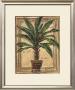 Potted Palm Ii by Alex Brewer Limited Edition Pricing Art Print