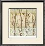 Willow And Lace Iii by Jennifer Goldberger Limited Edition Print