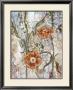 Persimmon Delight by Sofi Taylor Limited Edition Print