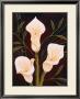 Botanical Elegance Ii by Yvette St. Amant Limited Edition Print