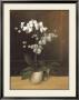 Tropic Orchids I by Franz Heigl Limited Edition Print