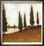 Afternoon Calm I by Mark St. John Limited Edition Pricing Art Print