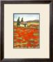 Champ De Coquelicot by Caroline Wenig Limited Edition Pricing Art Print