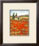 Champ De Coquelicot by Caroline Wenig Limited Edition Print