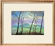 Sheep In The Bride Valley by Nicholas Hely Hutchinson Limited Edition Print