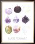 Apples by Lucie Tennant Limited Edition Print