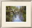 Spring Reflections I by Carol Buettner Limited Edition Pricing Art Print