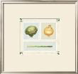 Antique Vegetables by Alex Bloch Limited Edition Pricing Art Print