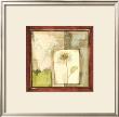 Pressed Flower Collage Iv by Jennifer Goldberger Limited Edition Print