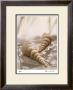 Seashore Turitella by Donna Geissler Limited Edition Pricing Art Print