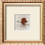 Maple by Dick & Diane Stefanich Limited Edition Print