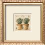 Herbes De Provence, Thym by Laurence David Limited Edition Print