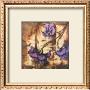 Purple Lily by Miguel Andujo Limited Edition Pricing Art Print