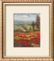 Poppy Vista Ii by Hulsey Limited Edition Pricing Art Print