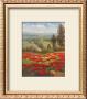 Poppy Vista Ii by Hulsey Limited Edition Print