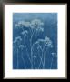 Indigo Print I by Megan Meagher Limited Edition Print