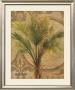 Decorative Palm Ii by Albena Hristova Limited Edition Print