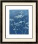 Indigo Print Ii by Megan Meagher Limited Edition Pricing Art Print