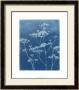 Indigo Print Ii by Megan Meagher Limited Edition Print