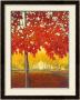 Fire Maple by J. Charles Limited Edition Print