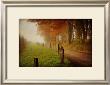 Foggy Morning On Hyatt Lane by Danny Head Limited Edition Print