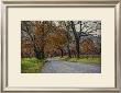 Morning On Sparks Lane I by Danny Head Limited Edition Print
