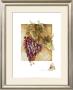 Grapes Ii by Elizabeth Jardine Limited Edition Pricing Art Print