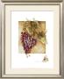 Grapes Ii by Elizabeth Jardine Limited Edition Print