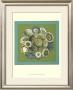 Celadon Bouquet Iv by Chariklia Zarris Limited Edition Pricing Art Print