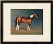 Stanhopes Diddicoy by Susan Crawford Limited Edition Print