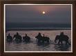 Elephants Lumber Into River At Sonpur by George F. Mobley Limited Edition Pricing Art Print